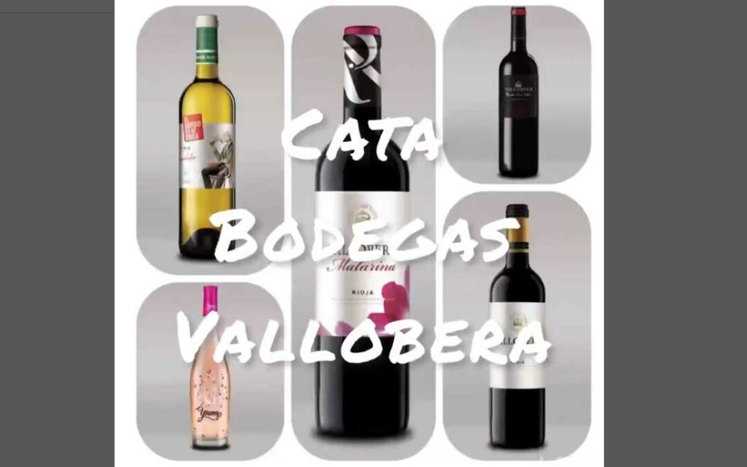 Cata de Bodegas Vallobera